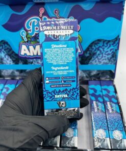 Blue Amnesia Whole Melts Disposable – Sativa - Official Whole Melt Extracts