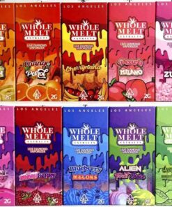 Blue Whole Melts Master Box | 100 Disposable Vapes - 10 Flavors - Official Whole Melt Extracts