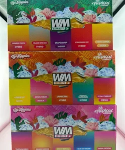 Mango Mochi Tropical Edition V6 Disposable 2025 For Sale