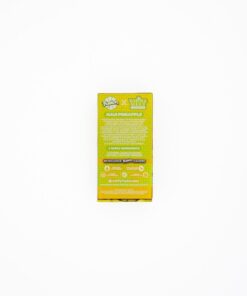 Maui Pineapple Whole Melts x Fusion – 2G Hybrid Disposable Vape - Official Whole Melt Extracts