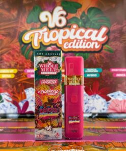 Sticky Stardust Tropical Edition V6 Disposable 2025 For Sale
