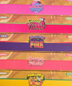 V4 Whole Melts Disposable - 50 Pack Master Box - Official Whole Melt Extracts