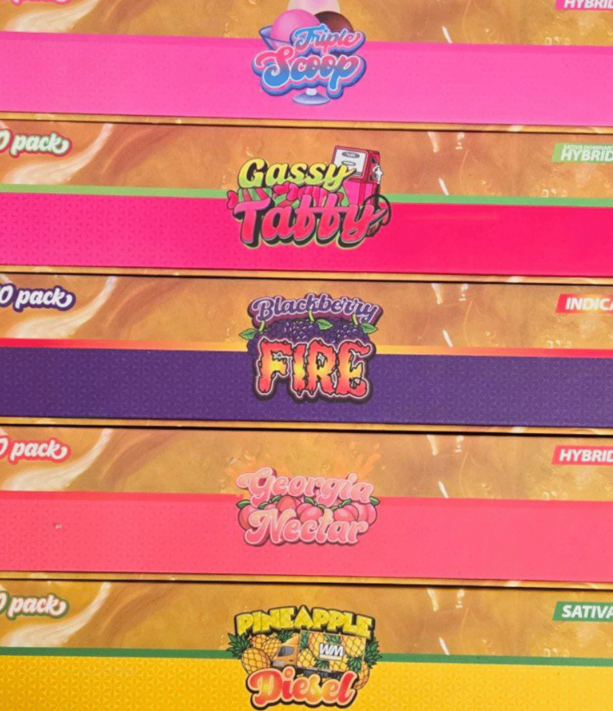 V4 Whole Melts Disposable - 50 Pack Master Box - Official Whole Melt Extracts