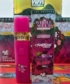 Whole Melt Dispo | 25 Packs Mixed Variety